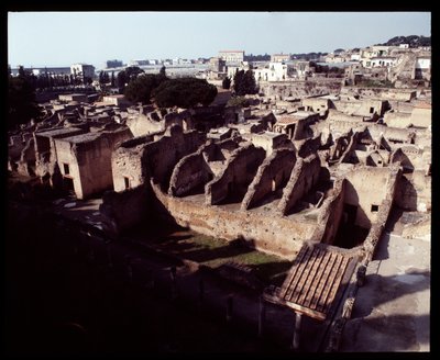 南部地域の発掘調査、紀元前5世紀～紀元後1世紀 作： Roman Roman