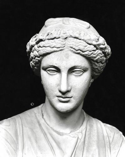 巻物を持つクリオの像、頭部（石）のディテール（モノクロ写真）（161938も参照 作： Roman Roman