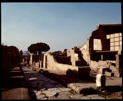 デクマンヌス・マキシマスの眺め、紀元前5世紀～紀元1世紀 作： Roman Roman