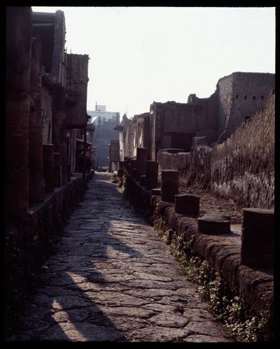 街路の眺め 前5世紀～後1世紀 作： Roman Roman