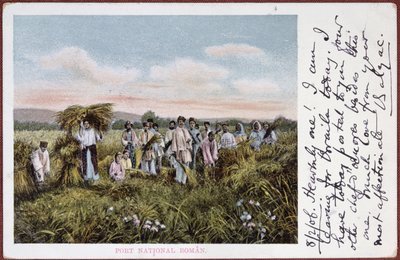 ルーマニアの農民の収穫を描いた絵葉書、1906年 作： Romanian School