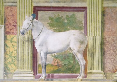 馬の間、マントヴァのルドヴィコ・ゴンザガ3世の厩舎からの灰色の馬の肖像画を示す詳細 作： Romano Giulio