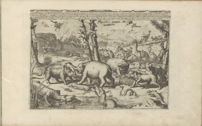 Aziatische en Afrikaanse diren Aziatische en Afrikaanse dieren / アジアとアフリカの動物 (オブジェクトのタイトル) 東西インド諸島とその他の場所 (シリーズ タイトル) 作： Romeyn de Hooghe