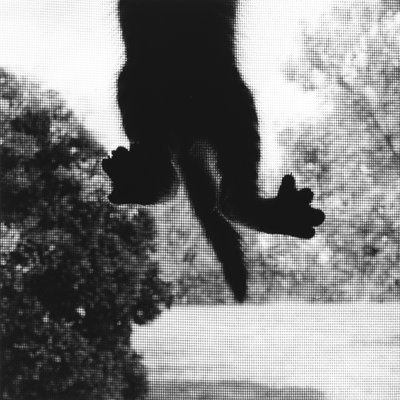 クライミング・キャット 作： Ron Evans