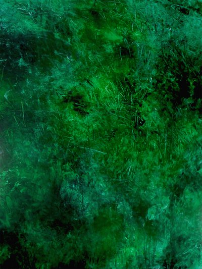  作： Ron Halfant