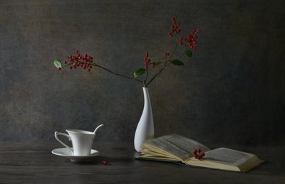 居心地の良い読書風景 作： 
