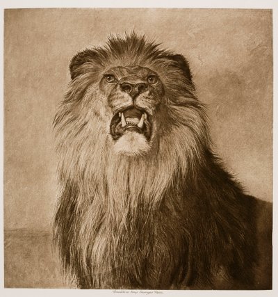  作： Rosa Bonheur