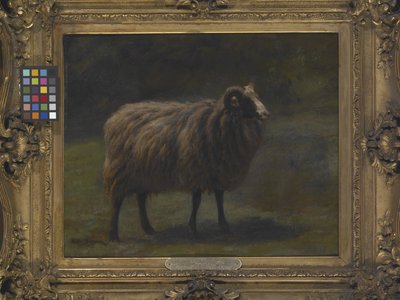 ラム（キャンバスに油彩） 作： Rosa Bonheur