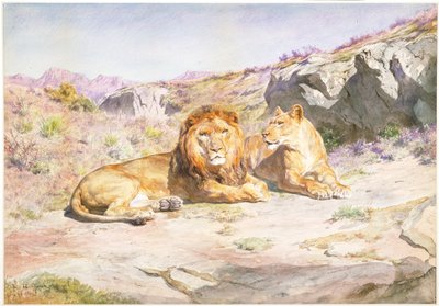  作： Rosa Bonheur