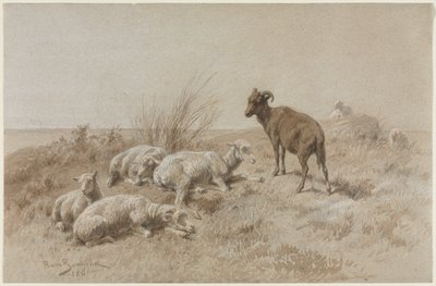 羊 作： Rosa Bonheur