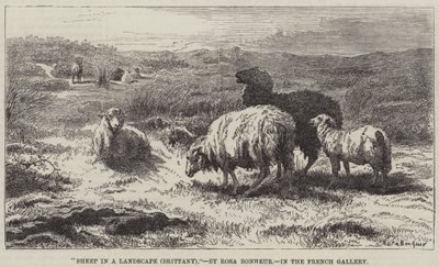 風景の中の羊、ブルターニュ 作： Rosa Bonheur