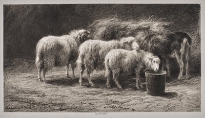  作： Rosa Bonheur