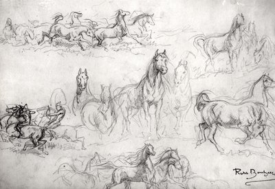馬の研究 作： Rosa Bonheur