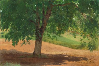 光と陰の研究（キャンバスに置かれたカード上の油） 作： Rosa Bonheur