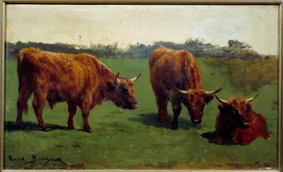 プレの赤い牛肉の3つの習作。ローザ・ボヌール（1822-1899）の絵画 作： Rosa Bonheur