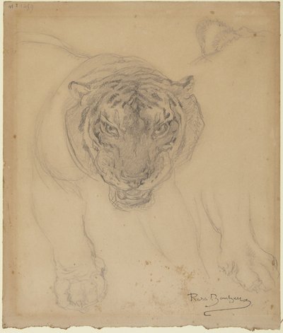  作： Rosa Bonheur