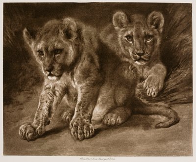  作： Rosa Bonheur