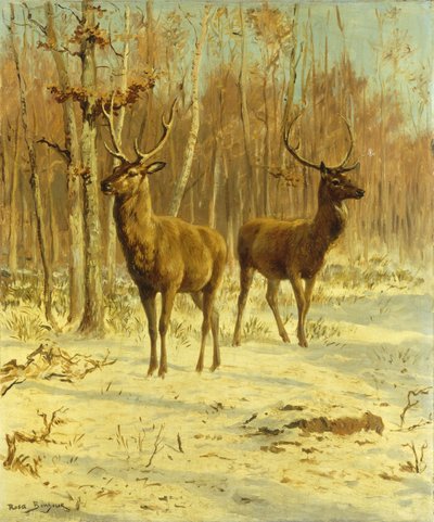 冬のクリアで2つのクワガタ 作： Rosa Bonheur