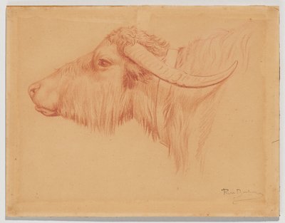  作： Rosa Bonheur