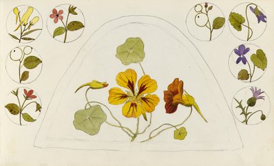 ナスタチウムとその他の花を使ったデザイン 作： Rosa Brett