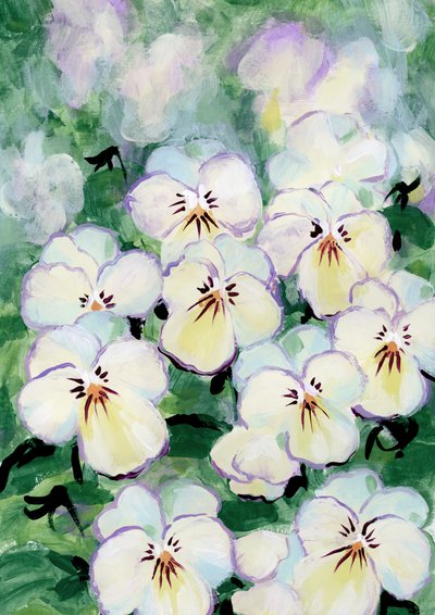可憐なパンジーの花 作： Rosana Laiz Blursbyai