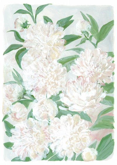 柔らかな牡丹の花 作： 