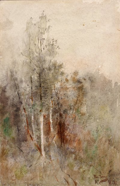 木の研究、1879年。 作： Ross Turner