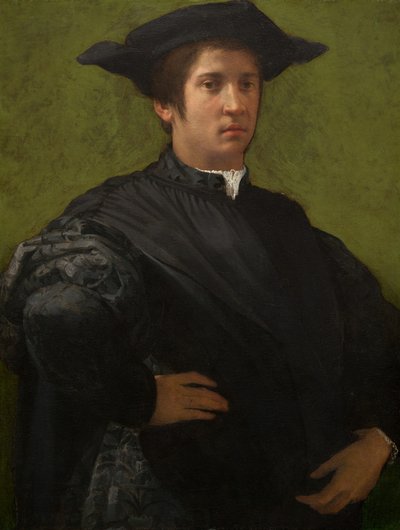 男性の肖像画、1520 年代初頭。 作： Rosso Fiorentino