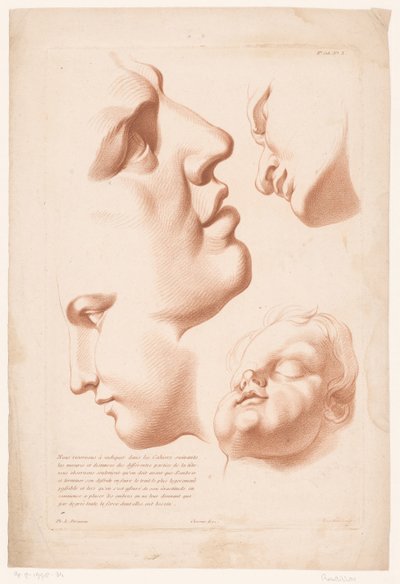 男、女、子供の頭 自然からの描画の原則、パート 2 (シリーズ タイトル) IIe Cahier de Principes du Dessin d