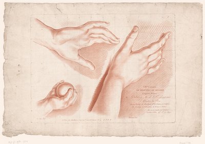3本針のタイトルプリント 自然からの描画の原則、パート 8 (シリーズ タイトル) VIIIe Cahier de Principes du Dessin d