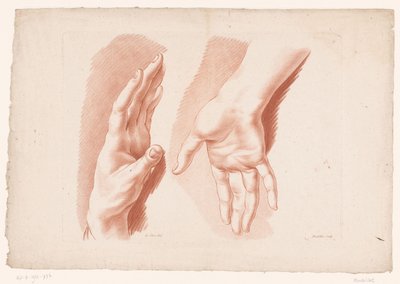 両手 自然からの描画の原則、パート 8 (シリーズ タイトル) VIIIe Cahier de Principes du Dessin d