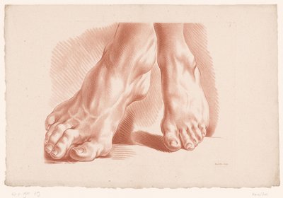 2フィート 自然からの描画の原則、パート 5 (シリーズ タイトル) Ve Cahier de Principes du Dessin d
