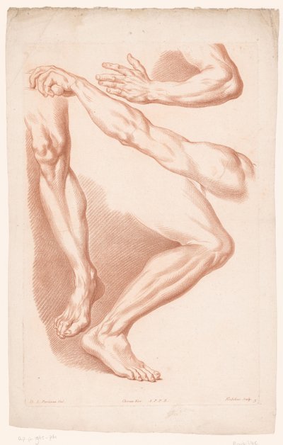 2 本の脚と 2 本の腕の異なるビュー 自然からの描画の原則、パート 7 (シリーズ タイトル) VIIe Cahier de Principes du Dessin d
