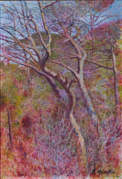 風景、スタジオ、1907年頃 作： Rubaldo Merello