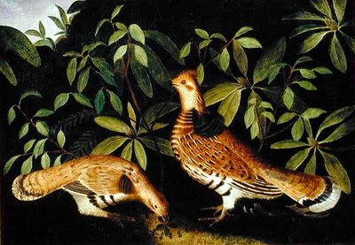 下草の中の2羽のライフルグラウス 作： Rubens Peale
