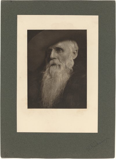 牧場主、1901 年。 作： Rudolf Eickemeyer Jnr