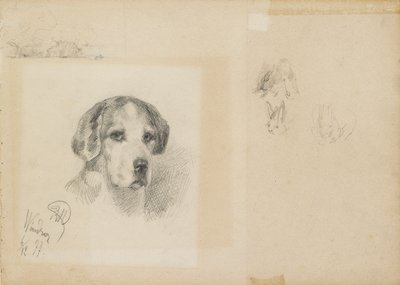 犬の肖像画: ウィンザー、1877 年 作： Rudolf Wimmer