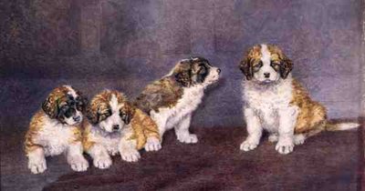 評議会の子犬（水彩・紙） 作： Rupert Arthur Dent