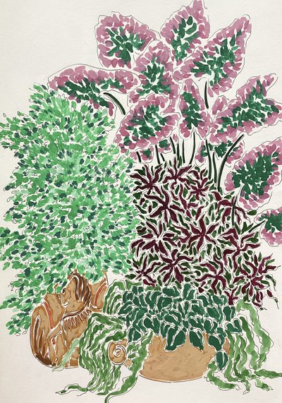 色鮮やかな鉢植え 作： 