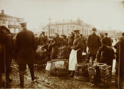 モスクワのトルブナヤ広場の鳥市場 作： Russian Photographer