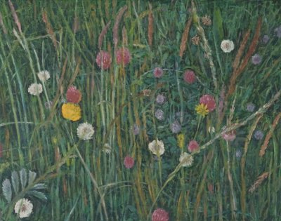 Machairの植物、2008年 作： Ruth Addinall
