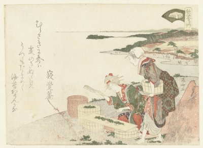 ハーブを刻む 作： Ryuryukyo Shinsai