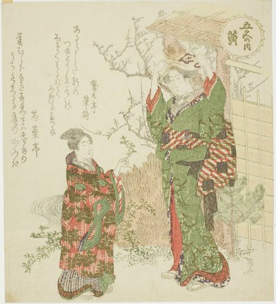 「五色の内」シリーズより黄（き） 作： Ryuryukyo Shinsai