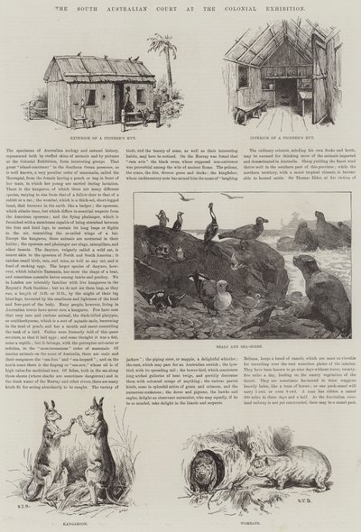 植民地展示における南オーストラリア裁判所 作： S.T. Dadd