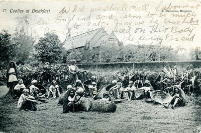 朝食時のクーリー、1908年頃（白黒写真） 作： S. Mahadeo