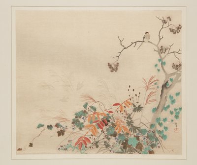 植物の上の鷹（カラー木版画 作： Sakai Hoitsu