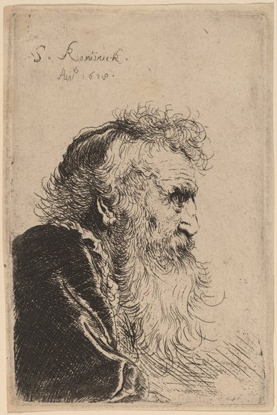横顔の老人の胸像、右向き 作： Salomon Koninck