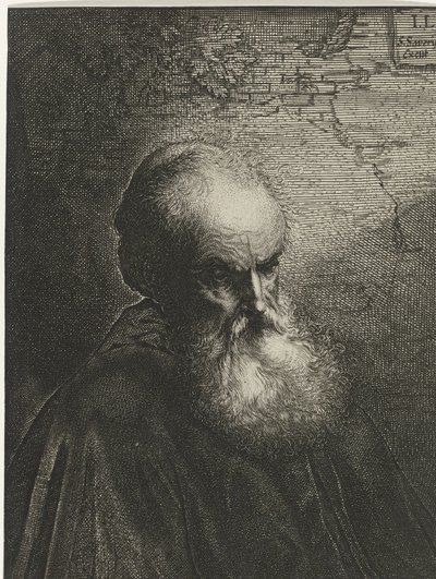 ひげを生やした老人の肖像画 作： Salomon Savery