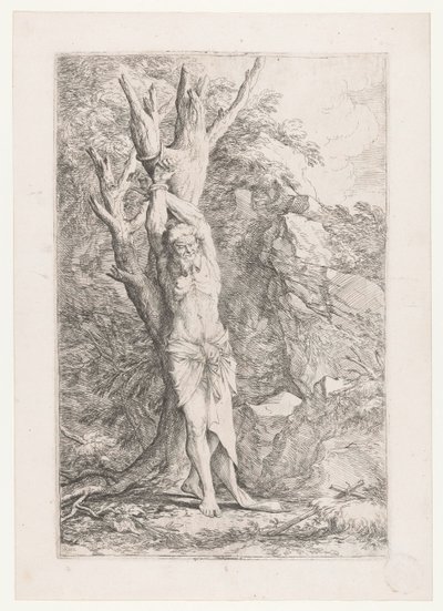 木に縛られたアルバート 作： Salvator Rosa