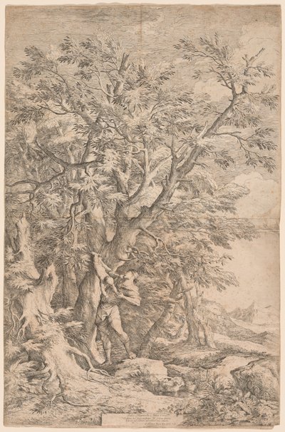 幼いオイディプスの救出 作： Salvator Rosa